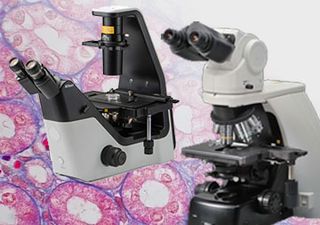 Lichtmikroskope für Labor, Klinik & Forschung